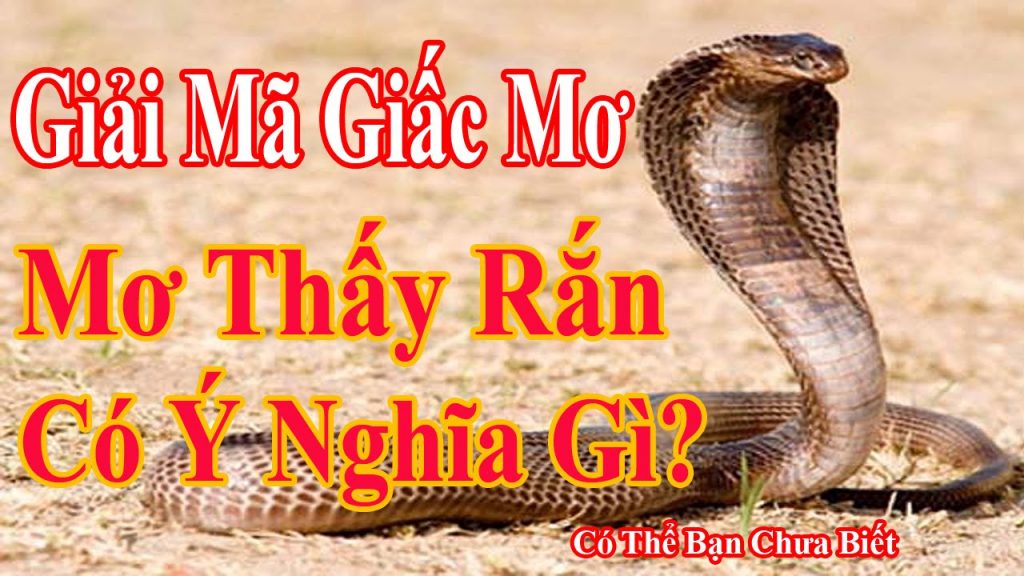 mơ thấy rắn đánh số gì