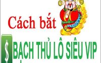 bắt bạch thủ lô